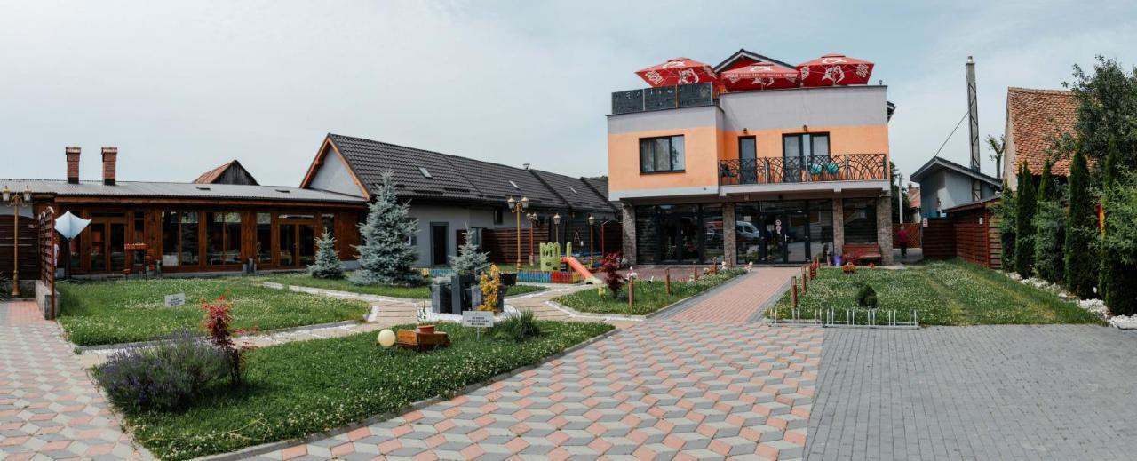 Pensiune Confort Morosanu Sinca Veche Dış mekan fotoğraf
