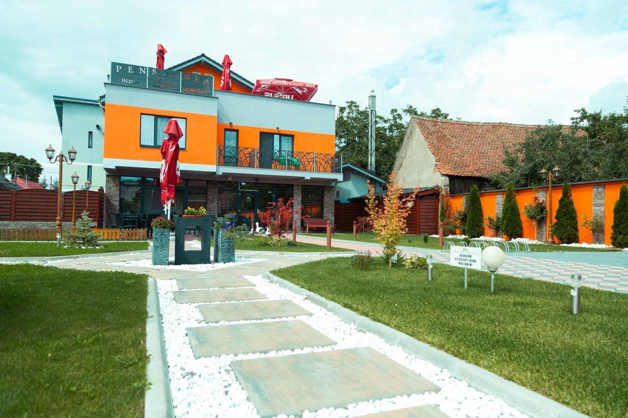 Pensiune Confort Morosanu Sinca Veche Dış mekan fotoğraf
